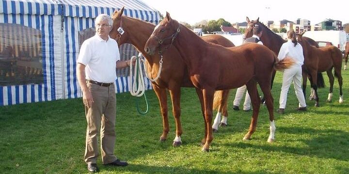 Totem, un cheval de Brécey aux JO de Tokyo